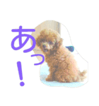くるみのくぅ2（個別スタンプ：16）