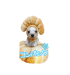 ワクワクヨーキー③（個別スタンプ：24）
