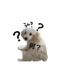 リロとリモ（個別スタンプ：10）