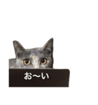 リロとリモ（個別スタンプ：31）
