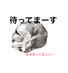あーちゃん＆ひめちゃん（個別スタンプ：8）