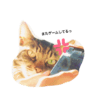 猫と裕介（個別スタンプ：5）