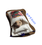 my hamster-chan（個別スタンプ：2）