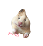 my hamster-chan（個別スタンプ：7）