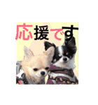 Nice stamp of cute dogs（個別スタンプ：26）