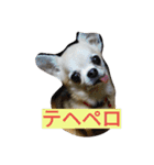 ぷーちゃんと、日常（個別スタンプ：4）