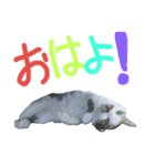 我が家のちびちゃん（個別スタンプ：3）