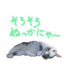 我が家のちびちゃん（個別スタンプ：22）