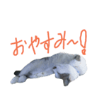 我が家のちびちゃん（個別スタンプ：24）