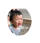 narutarou（個別スタンプ：7）