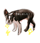 shinnosuke.s（個別スタンプ：3）