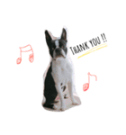 shinnosuke.s（個別スタンプ：9）