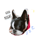 shinnosuke.s（個別スタンプ：11）