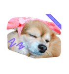 ちぃ。（個別スタンプ：3）