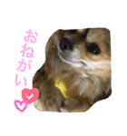 ちぃ。（個別スタンプ：5）