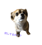 ちぃ。（個別スタンプ：13）