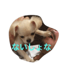 福夢さん2（個別スタンプ：2）