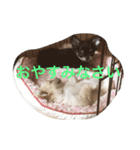 福夢さん2（個別スタンプ：3）