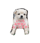 福夢さん2（個別スタンプ：4）