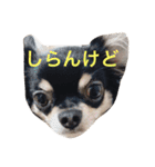 福夢さん2（個別スタンプ：9）