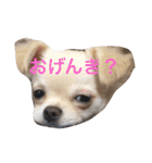 福夢さん2（個別スタンプ：14）