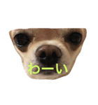福夢さん2（個別スタンプ：15）