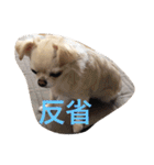 福夢さん2（個別スタンプ：18）