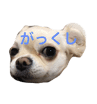 福夢さん2（個別スタンプ：28）