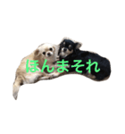 福夢さん2（個別スタンプ：29）