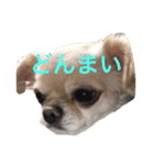福夢さん2（個別スタンプ：30）