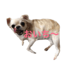 福夢さん2（個別スタンプ：31）