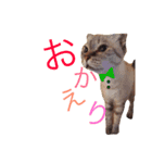 金太郎^ ^（個別スタンプ：7）