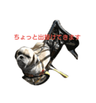 ペットのアイス（個別スタンプ：3）