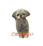 ペットのアイス（個別スタンプ：8）