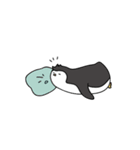ペンギン トリオ ピンパンプン（個別スタンプ：11）