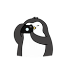 ペンギン トリオ ピンパンプン（個別スタンプ：17）