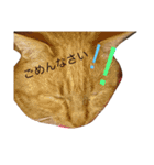 buuchan！1（個別スタンプ：7）