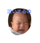 KN（個別スタンプ：6）