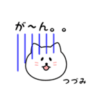 つづみさん用しろねこ（個別スタンプ：28）