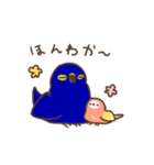 4匹のインコ。（個別スタンプ：17）