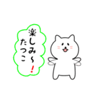 たつこさん用しろねこ（個別スタンプ：20）