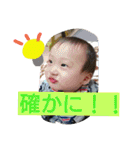 カイワタ2（個別スタンプ：17）
