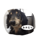我が家の1日（個別スタンプ：6）