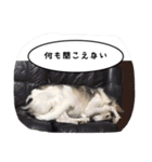 我が家の1日（個別スタンプ：14）