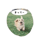 我が家の1日（個別スタンプ：17）