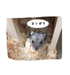 我が家の1日（個別スタンプ：18）