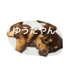チコスタンプ2（個別スタンプ：1）