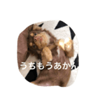 チコスタンプ2（個別スタンプ：7）