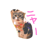 I♡菅原菜々子5（個別スタンプ：3）