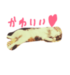 I♡菅原菜々子5（個別スタンプ：11）